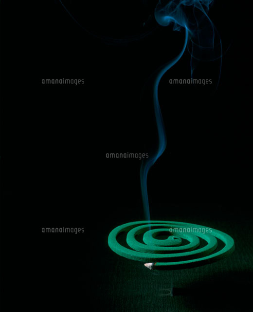 CAINZ 蚊取り線香 太煙巻 30巻 箱入殺虫剤・防虫剤・殺虫器 通販ホームセンターのカインズ