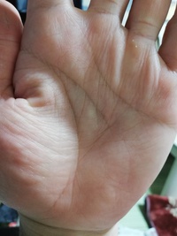 手相に詳しい方お願いします。右手の人差し指と中指の付け根の下辺りに、ダイヤ- Yahoo!知恵袋