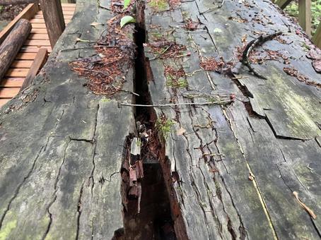 ウッドデッキベランダ メンテナンス