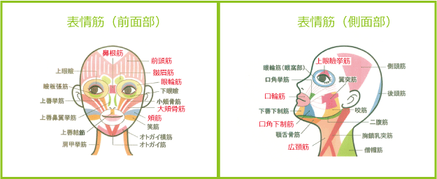 無題ドキュメント