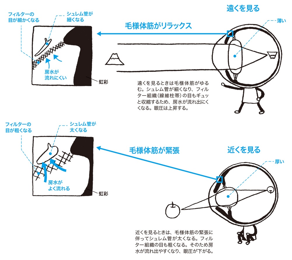 遺伝でもあきらめない薄毛対策AGA・FAGAと最新医療の可能性ヒロクリニック