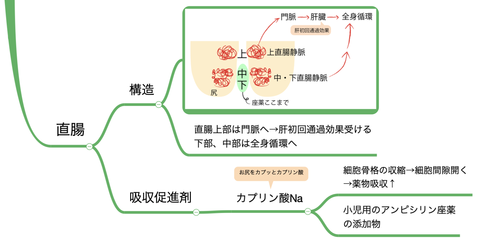 実験的マウスに腹腔内投与 - 医療注射のストックフォトや画像を多数ご用意 - 医療注射, 注射器, 小型のネズミ - iStock