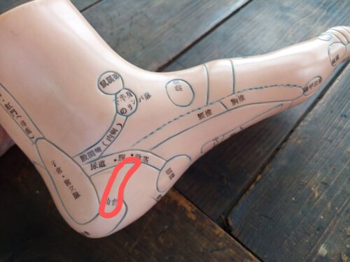 フットマッサージャー 足マッサージ器 足裏振動マッサージ器 筋肉痛を改善 足つぼのマッサージ ふくらはぎ揉み暖房マッサージャー 感謝の日ギフト 実用的: ODA INTERIOR - 通販 - Yahoo!ショッピング