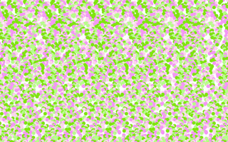 目が良くなる「3Dアート」は本当に効果があるの？ 眼科医が解説まいどなニュース