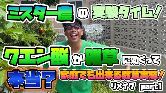 手作りの除草剤に効果はある？ お酢を使う方法や手作りのデメリットも紹介となりのカインズさん