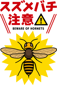 キイロスズメバチを徹底解剖！生態・特徴・危険性が残らずわかる解説生活110番