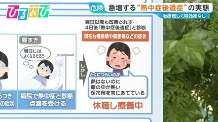 ㊗️100万再生🌈そろそろ暑くなる季節ですねにじさんじ雑学