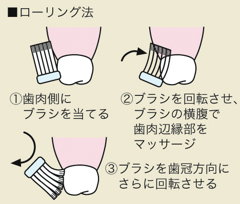 はみがきの手順書①＜24カット＞-うちの視覚支援グッズ