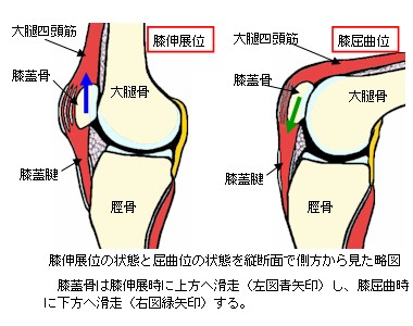 渋谷区の体玄塾が、悪い姿勢や歩き方、膝痛肩こりなどの問題を解決