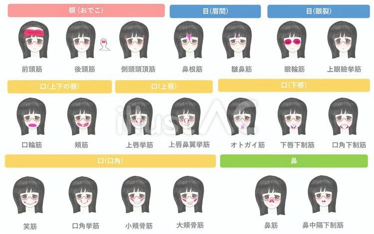 表情筋のイラスト素材 - PIXTA