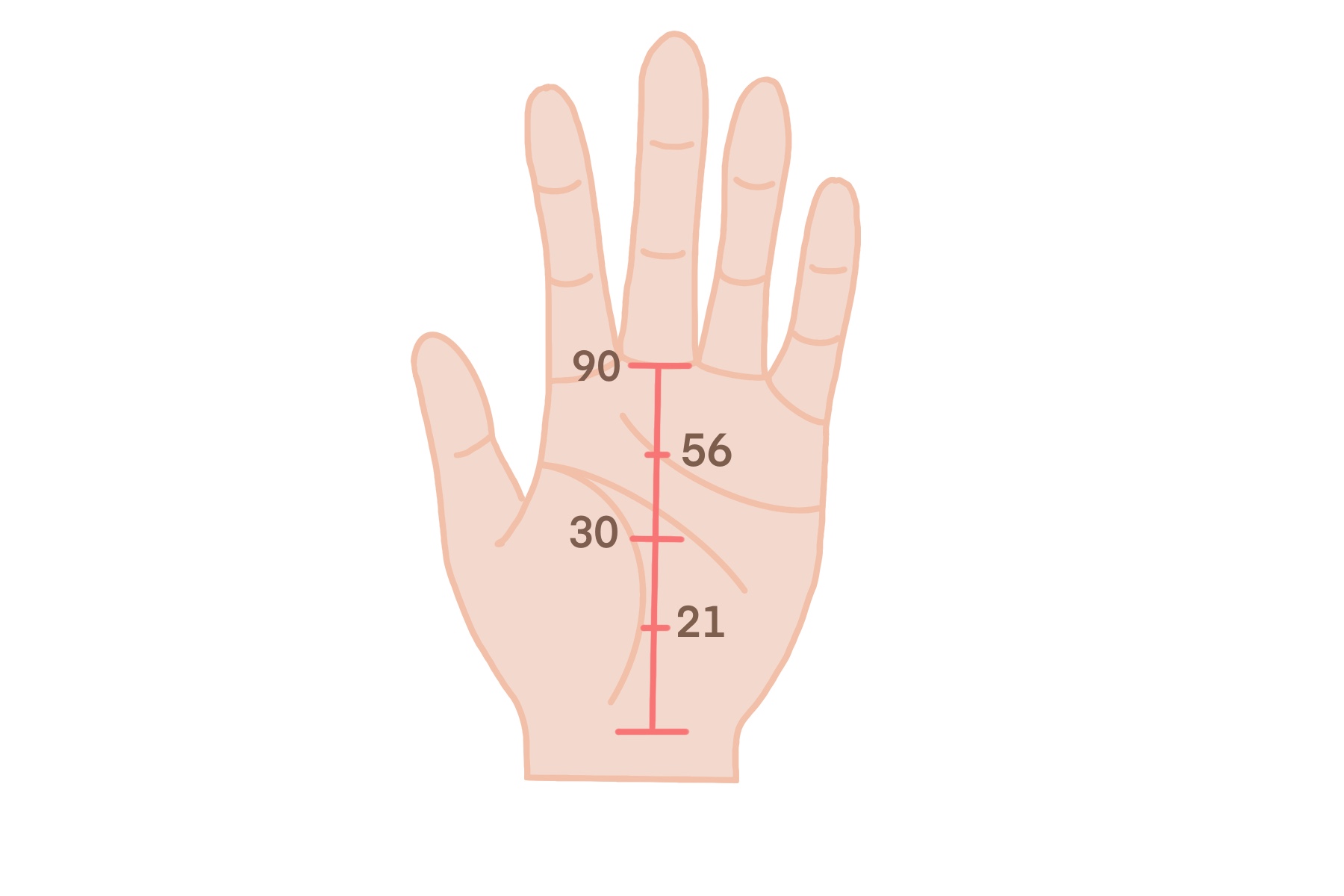 ますかけ線とは？あったら大強運？特徴別の意味と見方6選！│資格のキャリカレ