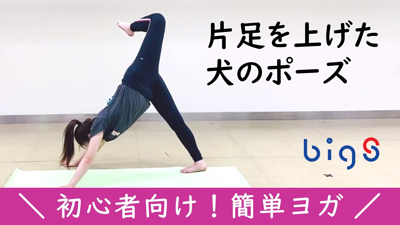 木のポーズ 片足で立つとふらつく人必見！同じく苦手だった私が即できるようになった３つのコツとはヨガジャーナルオンライン