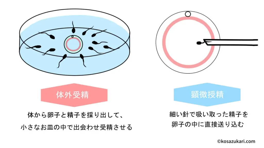 JAFの傷害保険 MSタイプJAFの保険