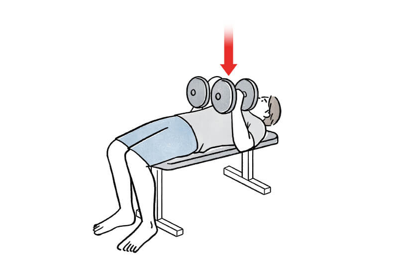 上腕三頭筋をダンベルで鍛えるには？トレーニングメニュー5選を紹介MediPalette