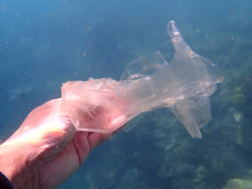 レジ袋有料化、子どもにこそ知ってほしい環境問題 絵本「プラスチックモンスターをやっつけよう」高田秀重さんインタビュー好書好日