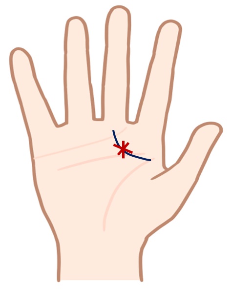 🌙成り上がり線＝逆転金運のサイン✨💰 生命線の起点 始まり から 中指へ伸びるこの線は 努力が実り大成功につながる可能性を表しています💫コツコツと続けてきた努力が、後にしっかりと金運につながりますよ🌟 「諦めない姿勢」が金運を大きく動かすポイント