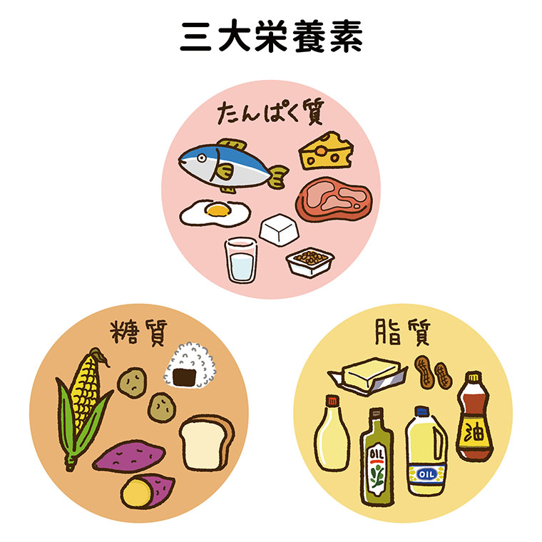 健康的な「脂質」の摂り方ライフフィールドマガジン明治安田