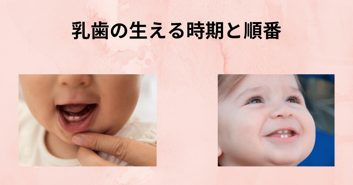 子どもの歯 乳歯 の生える時期と順番