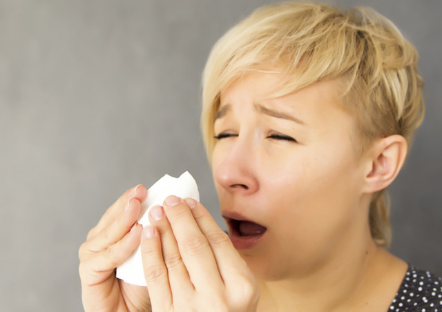 鼻を押さえてくしゃみ顔の写真・画像素材-Snapmart スナップマート