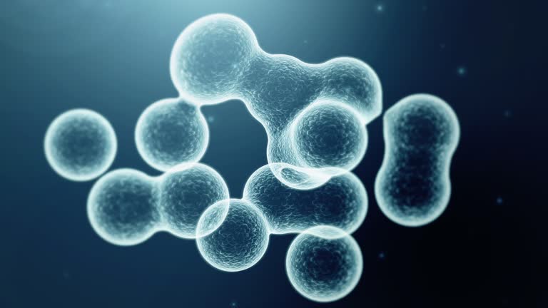 細胞分裂時の異常を細胞が検出する分子メカニズムを発見沖縄科学技術大学院大学 OIST