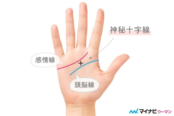 アロマハンドクリーム★シアバター入り高保湿ハンドクリームの作り方