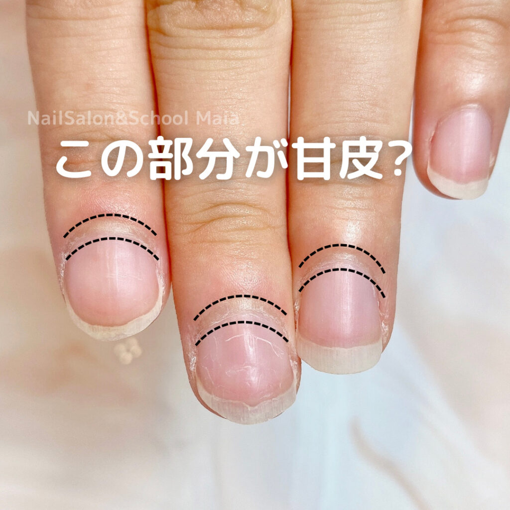 簡単 道具いらず!家にあるものでできる甘皮処理の仕方 写真動画あり毛玉家の長女ブログ