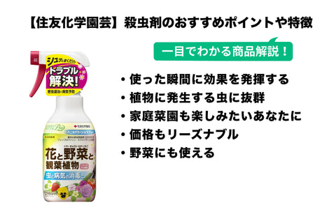 アガベ 害虫対策と育成サポート！おすすめの薬剤10選 多肉植物 観葉植物BOTANICAL ZONE ーボタニカルゾーン