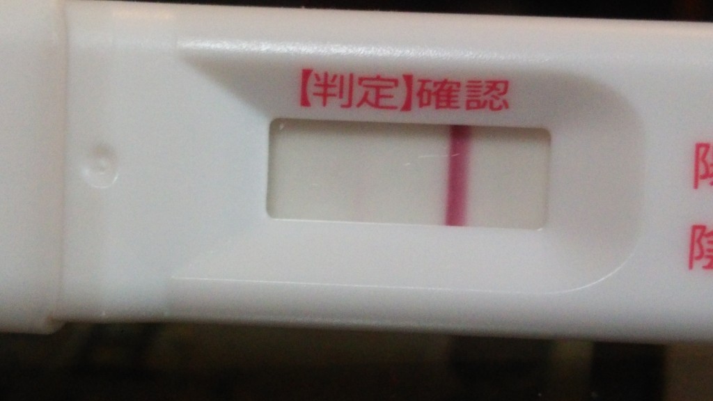 妊活 妊娠検査薬の反応 妊娠した時と妊娠しなかった時の違い在宅ワーママブログ