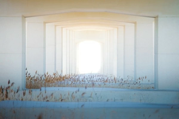 2025年8月8日 ライオンズゲートが開く！宇宙からのエネルギーの効果とはSATORI電話占い