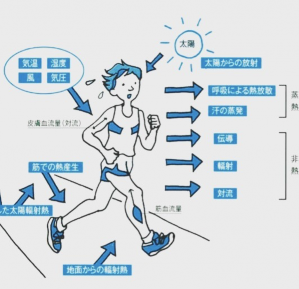 着れば着るほど風邪をひく？！薄着にして子どもの免疫力を高めよう！ - ぐちゃぐちゃ遊びの親子教室ゼロ歳－３歳の「なんだろう？」「やってみたい！」を実現して伸ばす習い事 日本乳幼児遊び教育協会