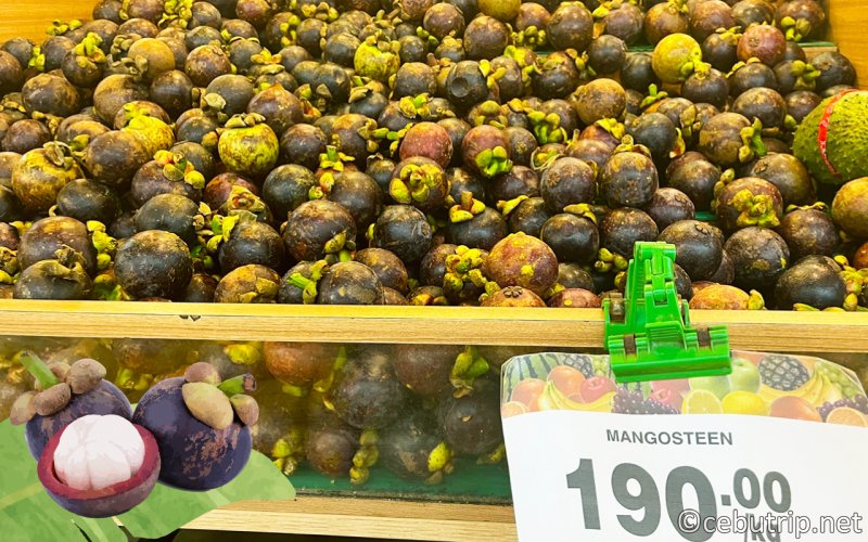 野菜や果物を洗う時は アルカリ電解水で！大阪府寝屋川市のマスダデンキ・リフォーム