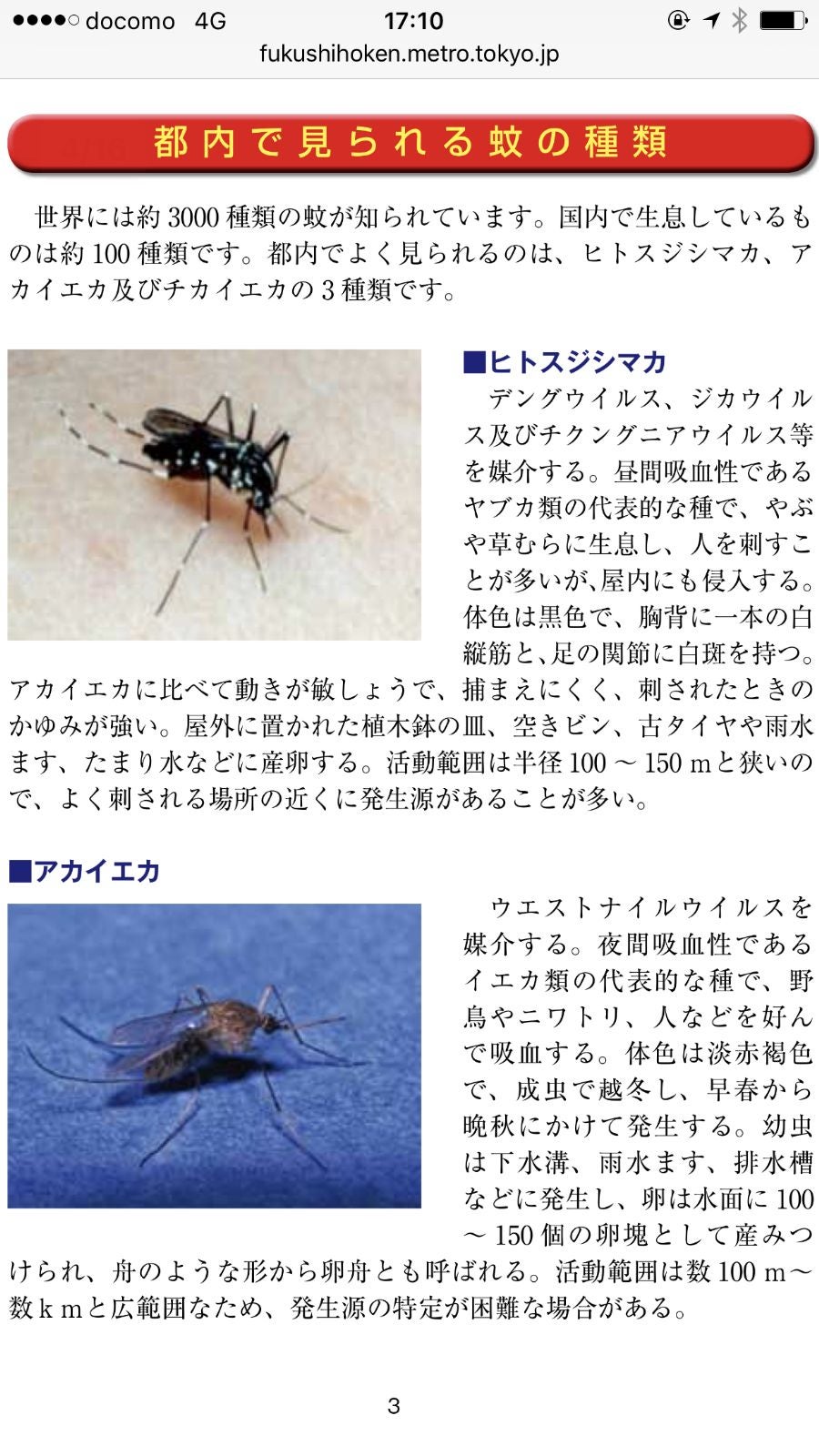 家の中によく入ってくる茶色い蚊！！『アカイエカ』風人の虫部屋