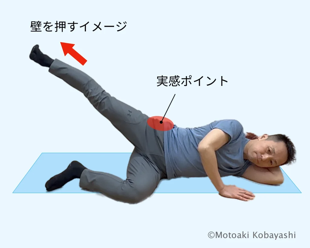 Visual Anatomy 視覚解剖学