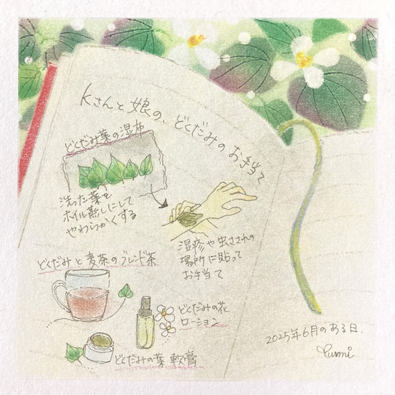 自然由来の虫除けスプレーや化粧水にも！どくだみチンキを作ろうニミログ田舎暮らし・移住に関するWEBマガジン