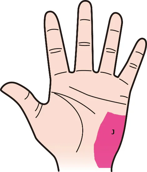 手のひらの「ほくろ」の意味は？手相占いでわかる結婚運・モテ運うらなえる無料占い・今日の運勢