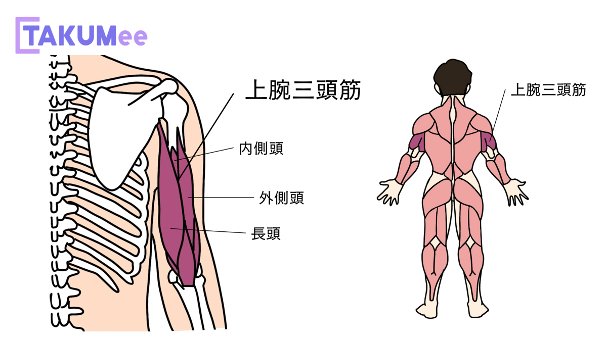 新たなアイテムの紹介！三頭筋のトレーニングおすすめ種目！ ザ・パーソナルジム沖縄那覇店