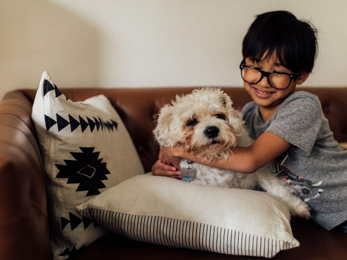 ペットを飼うと幸せになれる!? 男女508人に聞いたペットを飼うメリット・デメリットkufura クフラ 小学館公式