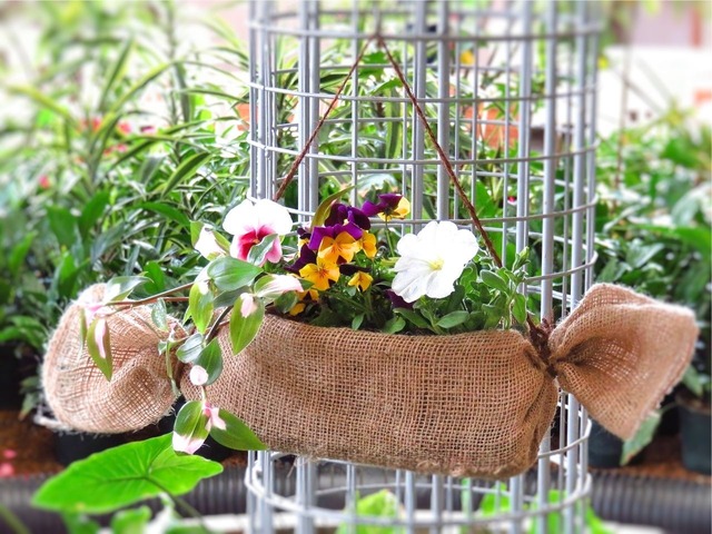 身近なリサイクル・ペットボトルプランターで暮らしを彩ろう株式会社ファー・イースト・ネットワーク