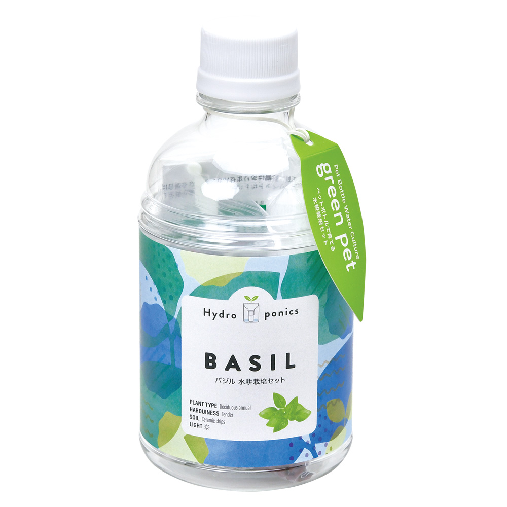 バジルの水耕栽培方法と増殖計画