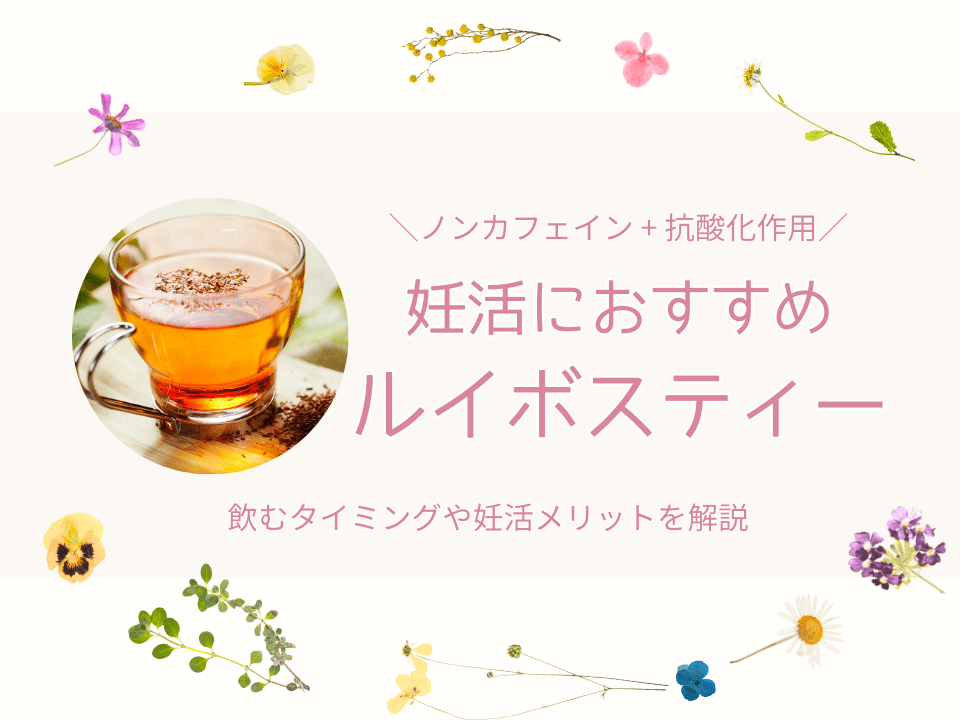 妊活女性にルイボスティーをおすすめする理由効果やメリットを解説ファンクショナルマッサージ治療院