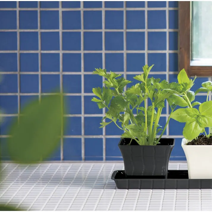 ベビーリーフの育て方プランター栽培で繰り返し収穫しよう！ – UETE