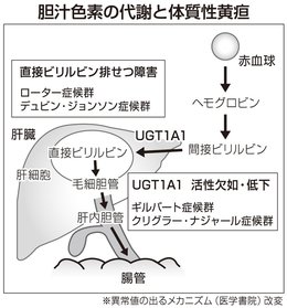 赤ちゃんと一緒に退院できないの ？」出産後、長男の黄疸の数値が高く治療が必要に ベビーカレンダ