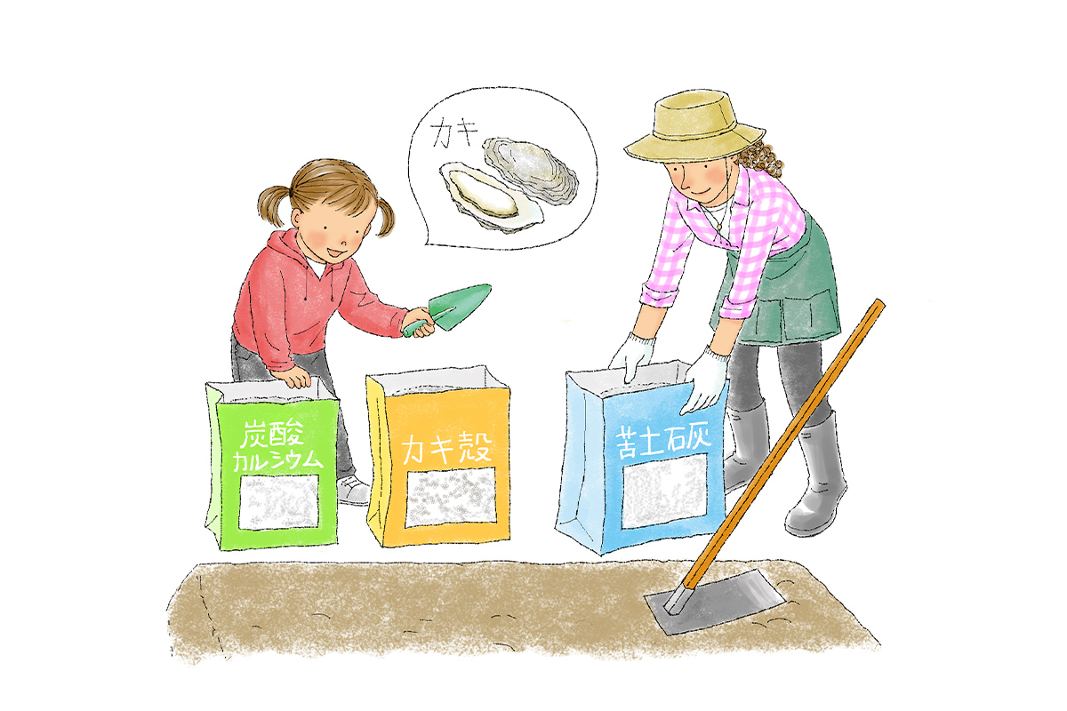 苦土石灰とは効果と使い方は？代用できる？消石灰との違いは？🍀GreenSnap グリーンスナップ