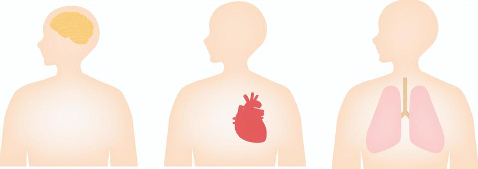 Tips備忘録: 医学・医療系アニメーションのアーカイブ