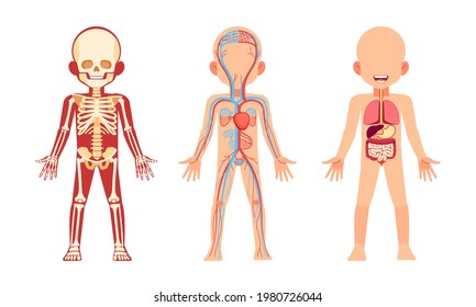 キャラクターのポーズを改善するための解剖学イラスト・マンガ描き方ナビ