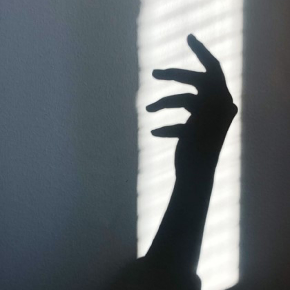 柔らかいカラダを手に入れる! 男のヨガ│宝島社の通販 宝島チャンネル