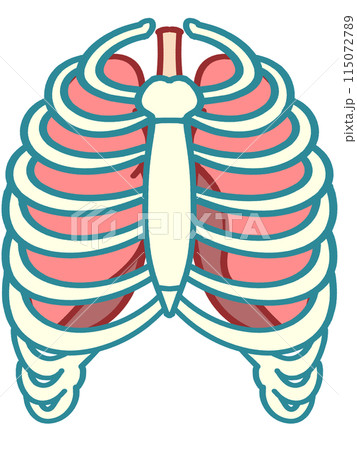 14,005 肺 High Res Illustrations - Getty Images呼吸, 心臓, 肺 イラスト