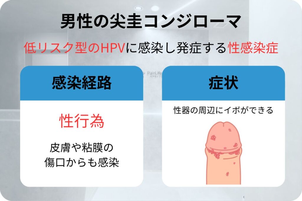 男性の尖圭コンジローマの症状・治療について – プライベートクリニック高田馬場 – 東京都新宿区