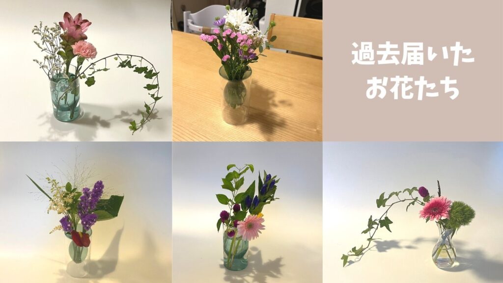 写真 ブルーミーライフはしょぼい?がっかりな評判と実際に届いたお花を紹介まいにちRAINBOW