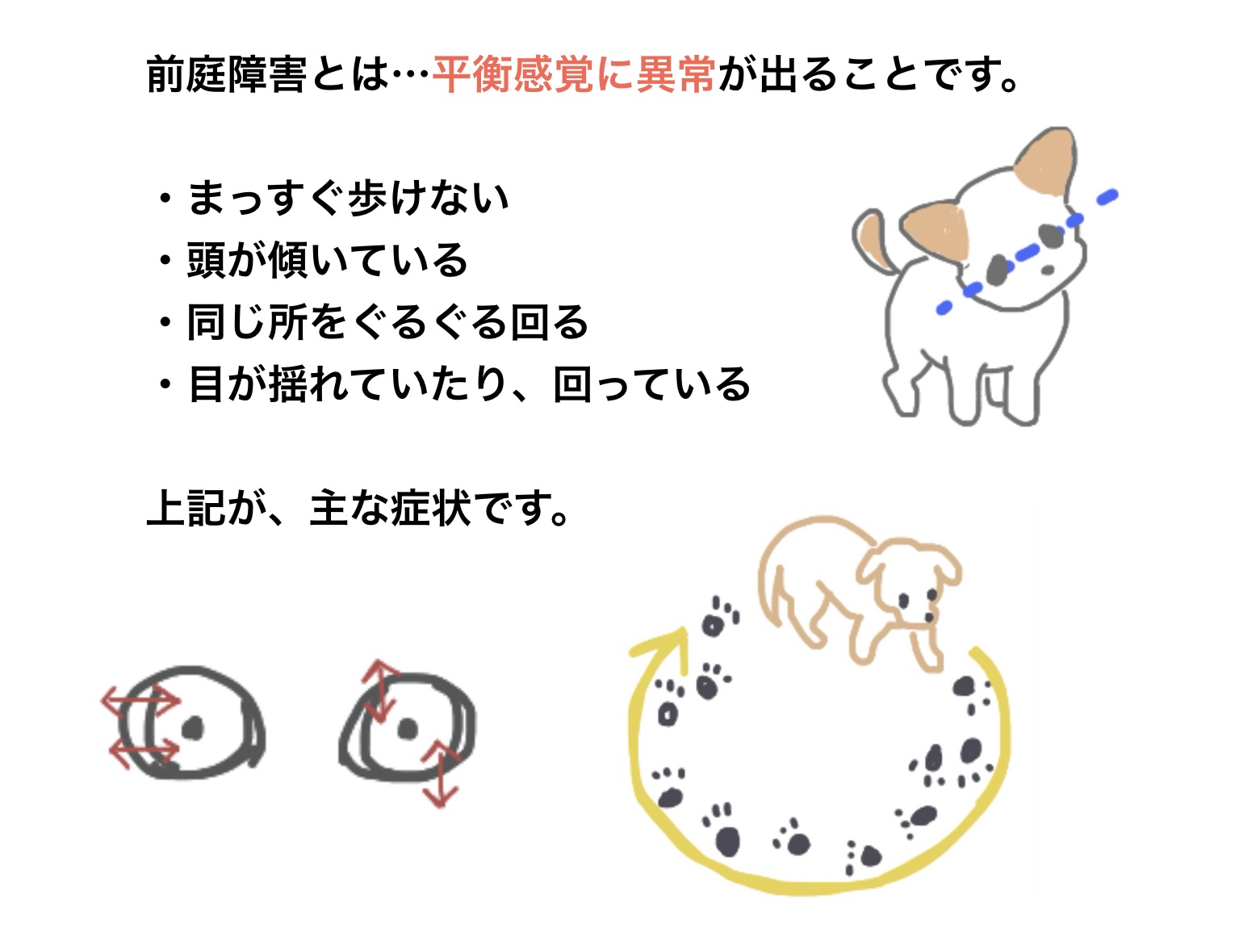 短頭種は呼吸がつらい⁈横浜市港北区 日吉・綱島・高田・南加瀬の動物病院 ガリレオ動物病院